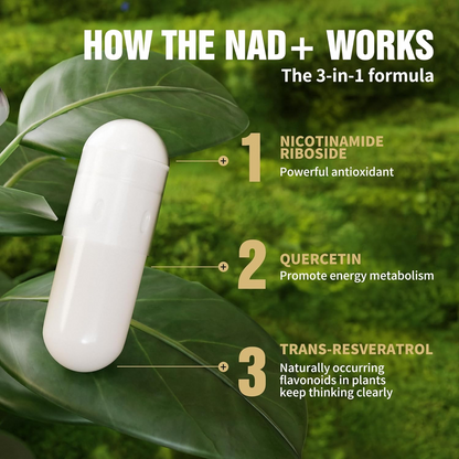 VITANOVA® NAD+ Anti-Aging Supplement